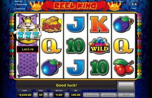 reel king slot